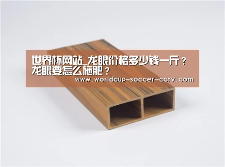 2026世界杯官网
