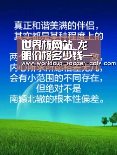 2026世界杯官网