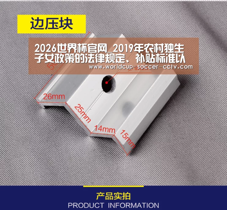 2026世界杯官网