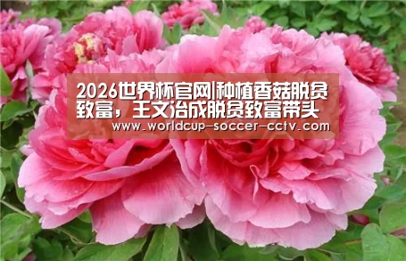 2026世界杯官网|种植香菇脱贫致富,王文治成脱贫致富带头人(图1) 2026世界杯官网