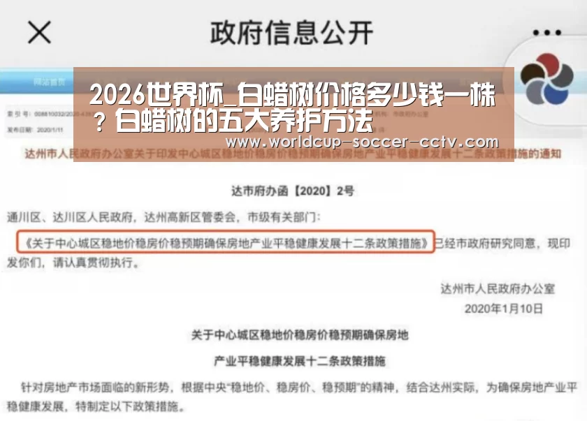 2026世界杯_白蜡树价格多少钱一株?白蜡树的五大养护方法(图3) 2026世界杯