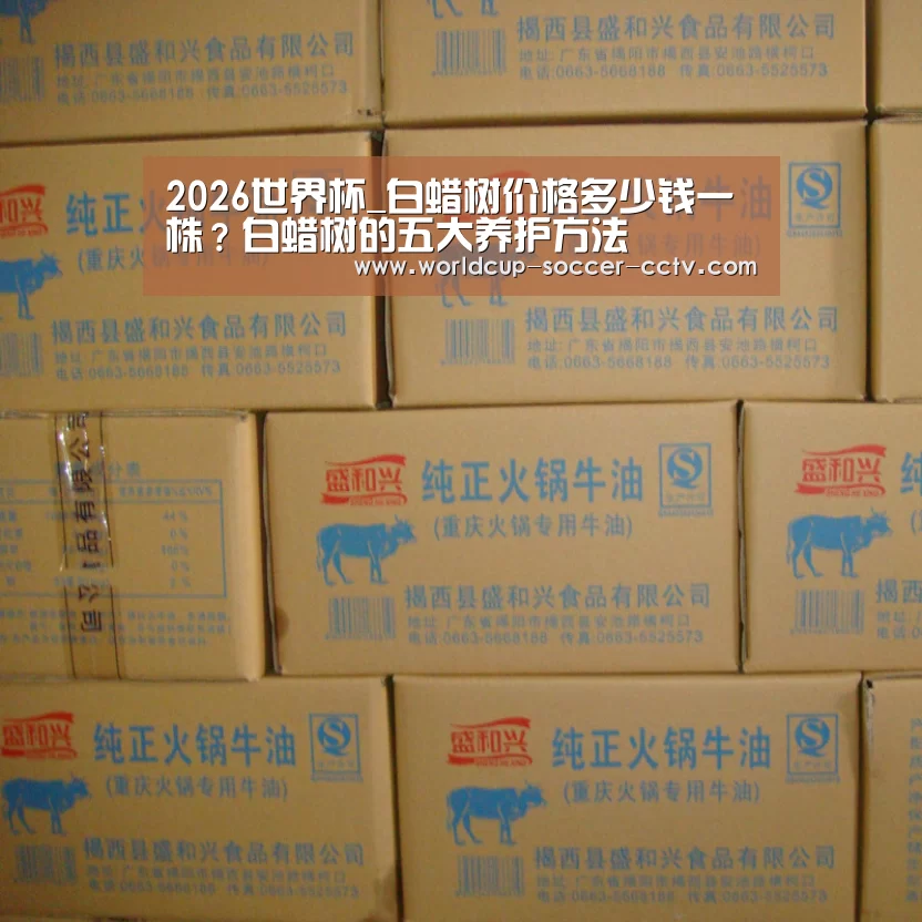 2026世界杯_白蜡树价格多少钱一株?白蜡树的五大养护方法(图2) 世界杯网站
