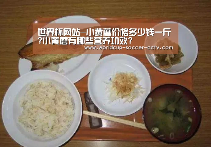 世界杯网站