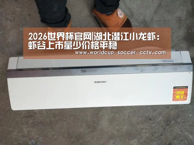 2026世界杯官网|湖北潜江小龙虾:虾谷上市量少价格平稳(图2) 2026世界杯