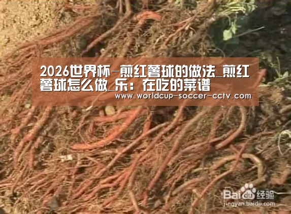 2026世界杯-煎红薯球的做法_煎红薯球怎么做_乐:在吃的菜谱(图1) 2026世界杯官网