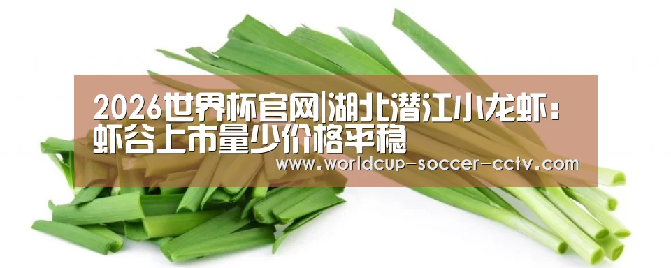 2026世界杯官网|湖北潜江小龙虾:虾谷上市量少价格平稳(图4) 世界杯网站