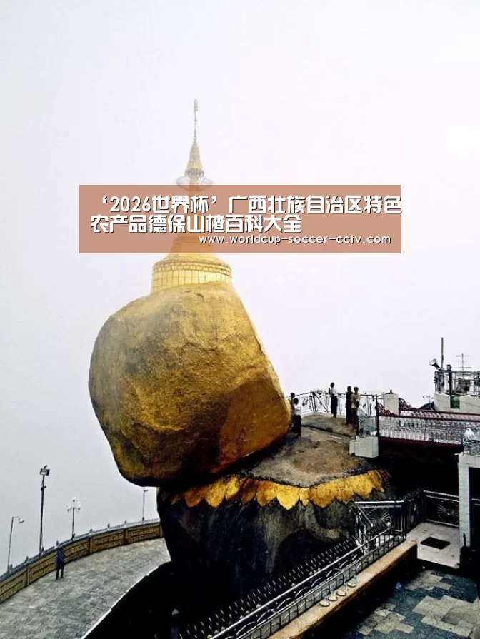 ‘2026世界杯’广西壮族自治区特色农产品德保山楂百科大全(图1) 世界杯网站