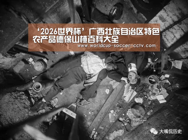 ‘2026世界杯’广西壮族自治区特色农产品德保山楂百科大全(图2) 2026世界杯官网